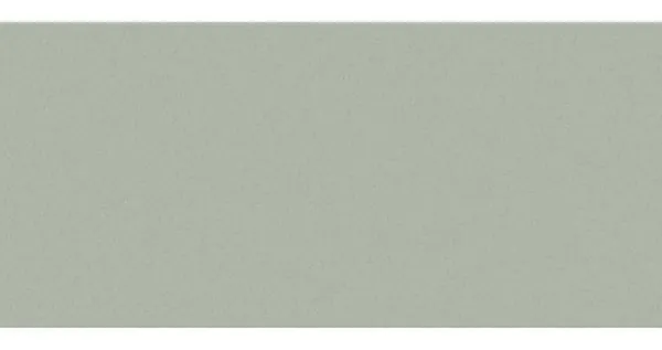 Сайдинг CEDRAL smooth (гладкий) С06 купить в Сибае