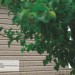 Сайдинг Ю-Пласт TIMBERBLOCK Пихта (Тимберблок) Cахалинская купить в Сибае