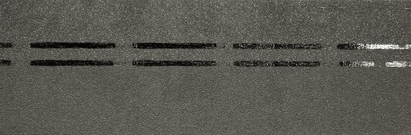 Коньково-карнизная черепица Docke Premium, авокадо купить в Сибае