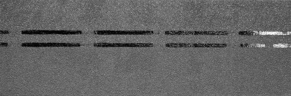 Коньково-карнизная черепица Docke Premium, черника купить в Сибае