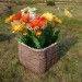 Цветник КАНЬОН купить в Сибае