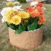 Цветник КАНЬОН купить в Сибае